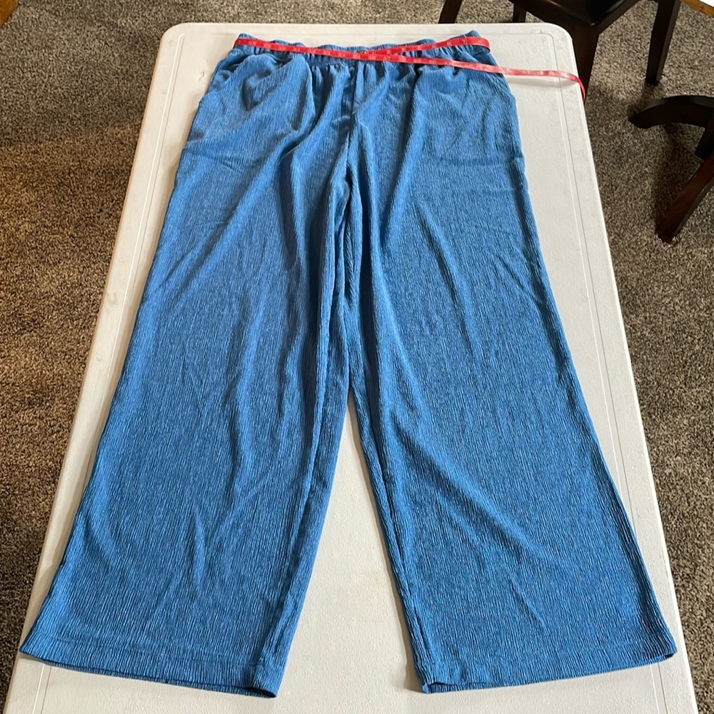 Cuddl Duds Pants
